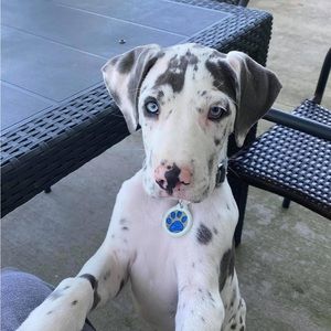 Meet your Posher, Addie